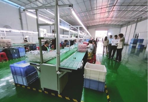 砥礪奮進啟新程，鄉村振興謀新篇——浛洸鎮張陂村玩具加工廠隆重開業