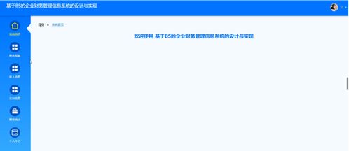 基于BS架構的企業財務管理信息系統軟件開發